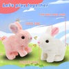 Plush Rabbit Toy