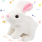 Plush Rabbit Toy