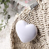 Heart Shaped Keychain Light